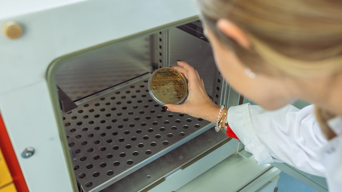 Woman at laboratory