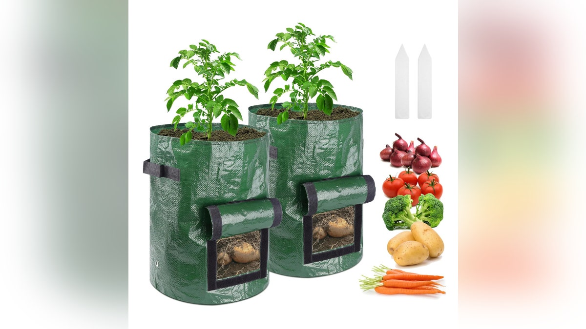 Grow veggies, fruit trees, or potatoes in these grow bags.?