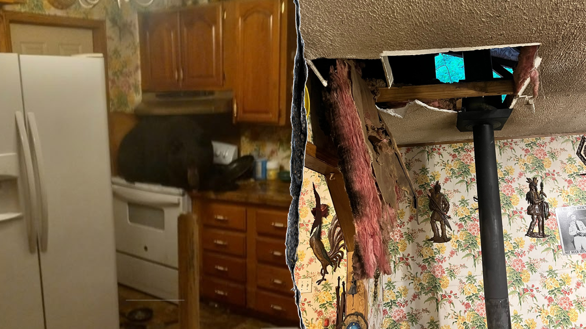 Bear inside Kentucky home
