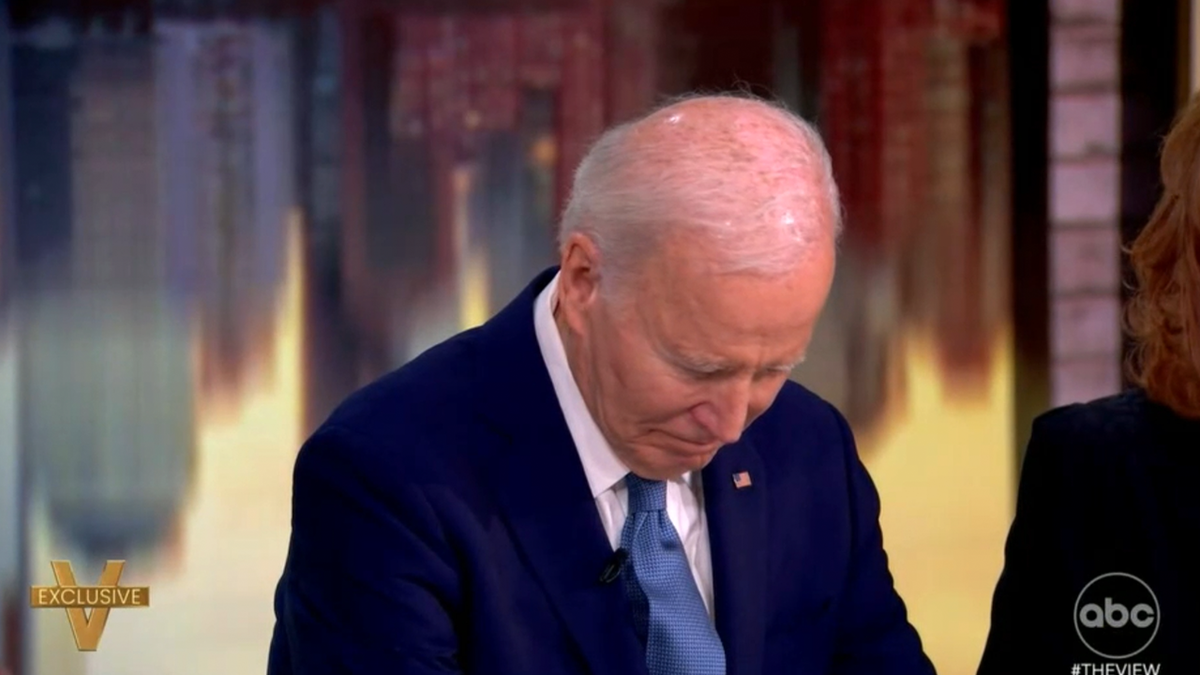 biden connected nan view