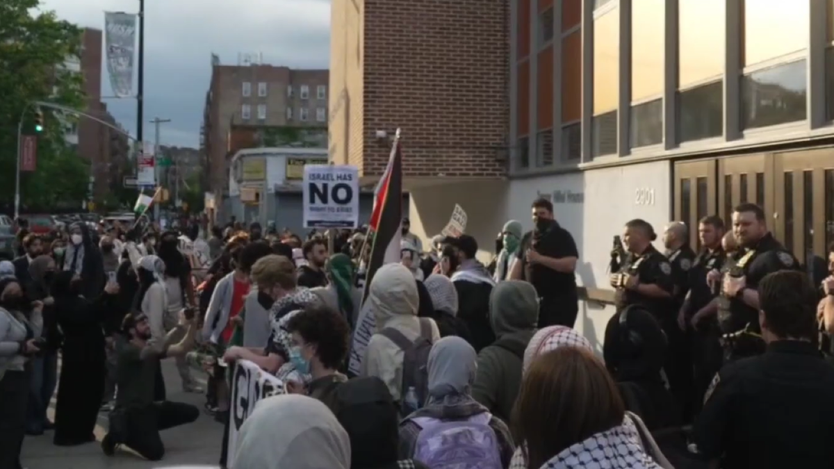 Wide shot of protesters