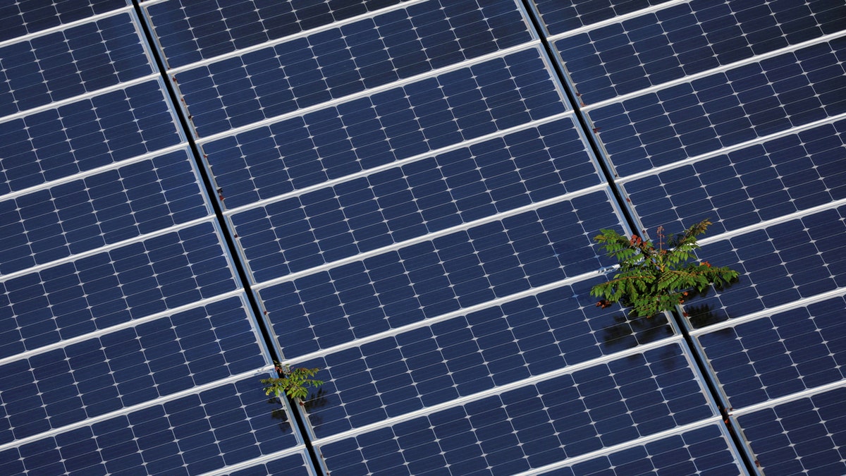 Undocumented connection devices discovered successful Chinese-manufactured star powerfulness inverters