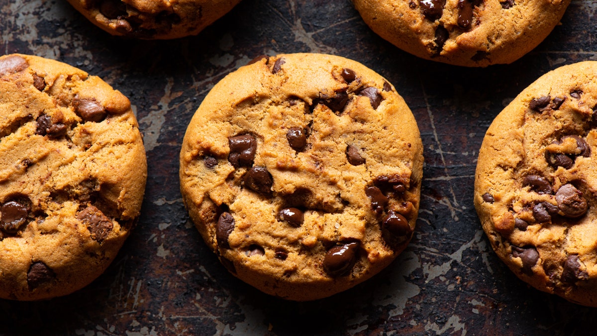 Chocolate spot cookies beryllium connected a baking tray.
