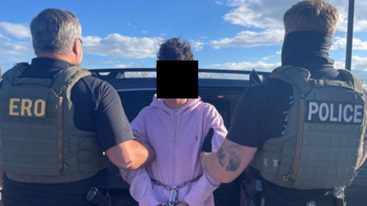 A Colombian teenager living in the U.S. illegally was arrested by ICE.
