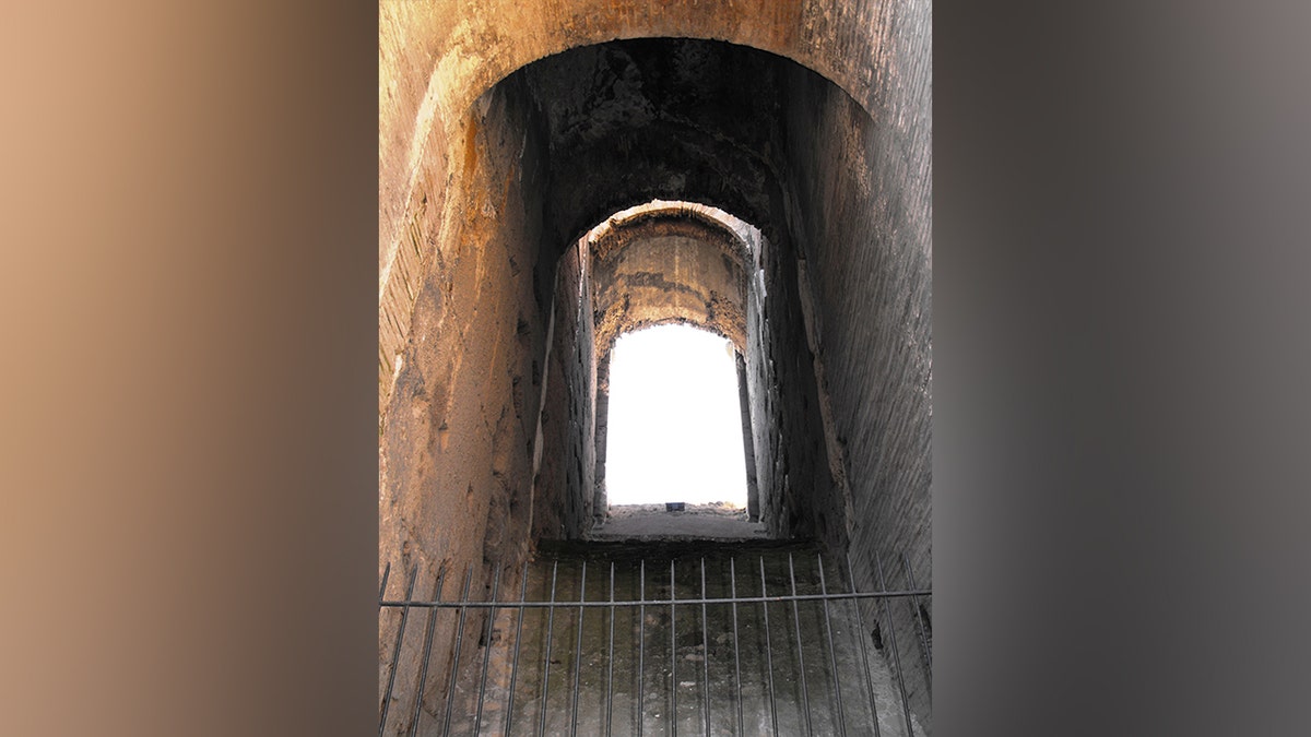 An arched window in the Colosseum is seen behind a metal fence.
