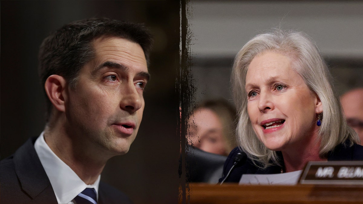 Sens. Tom Cotton and Kirsten Gillibrand