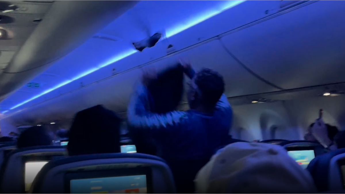 Passenger tries catching pigeon on airplane