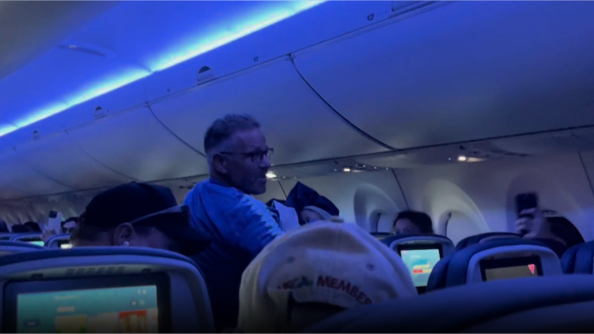 Passengers react to bird on plane
