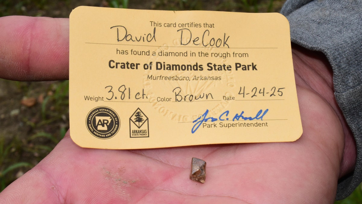 David Decooc通行证