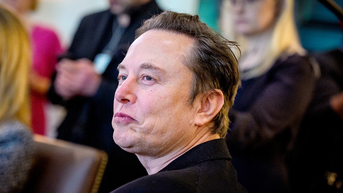 Elon Musk