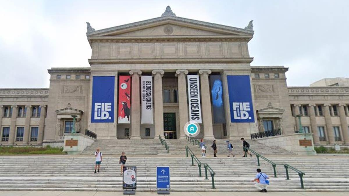 field museum