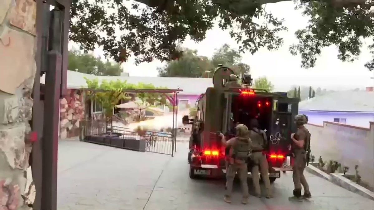 Bobcat at fraud bust