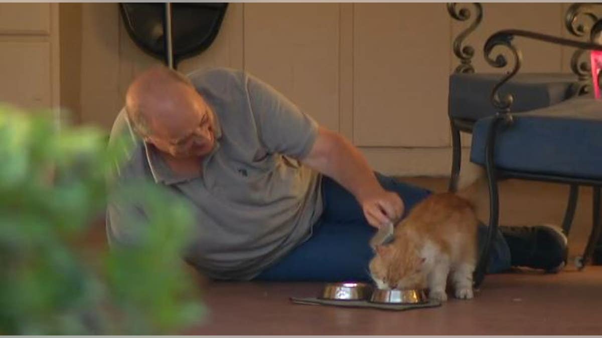 George's owner petting him