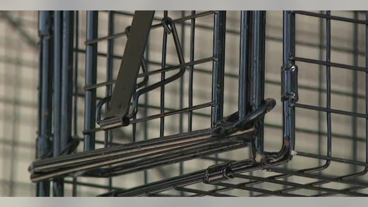 George's crate