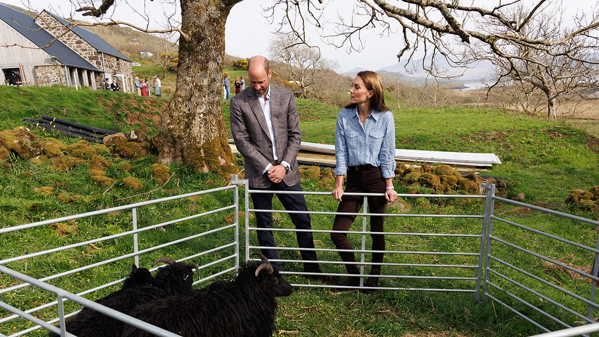 Kate Middleton and Prince William standing in front of a pen with sheep.