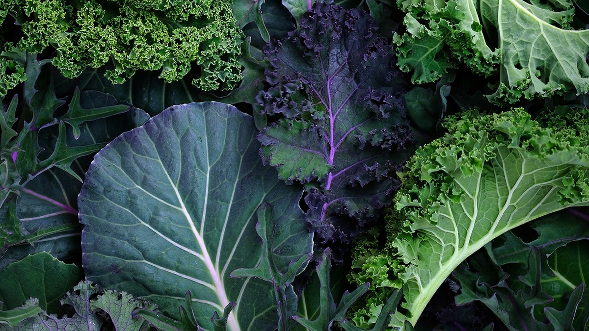 An array of vibrant leafy greens - some are darker, some are lighter, all green. They take up the entire screen.