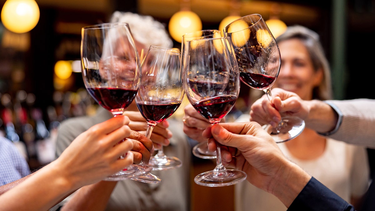 A group of people cheers their wine glasses together.