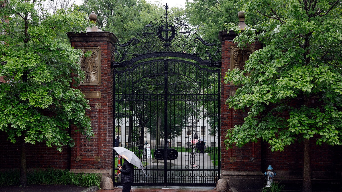 Harvard rainy day