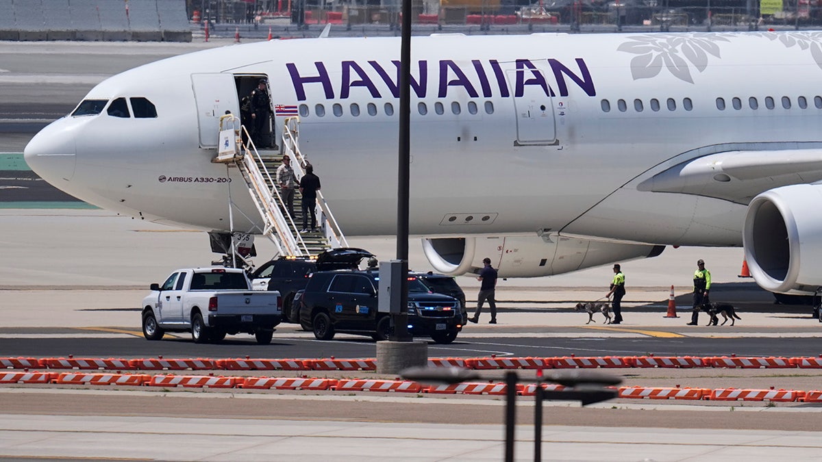 Hawaiian Airlines airplane on tarmac