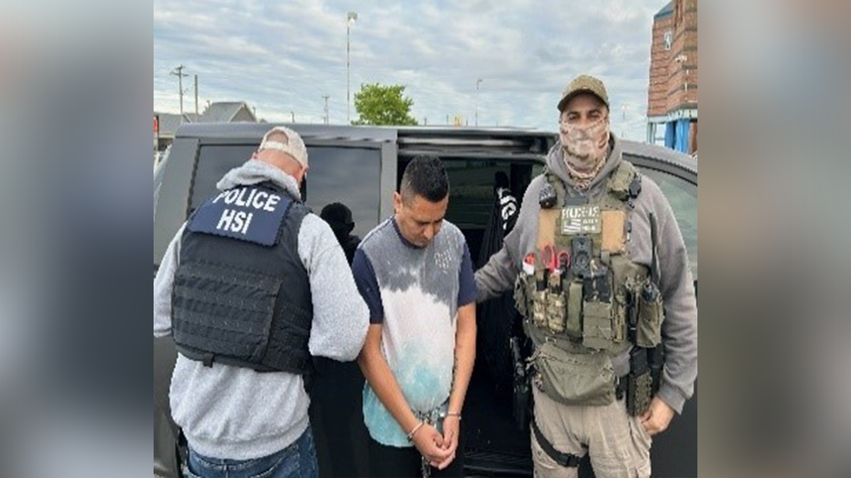Immigration authorities arrest a migrant