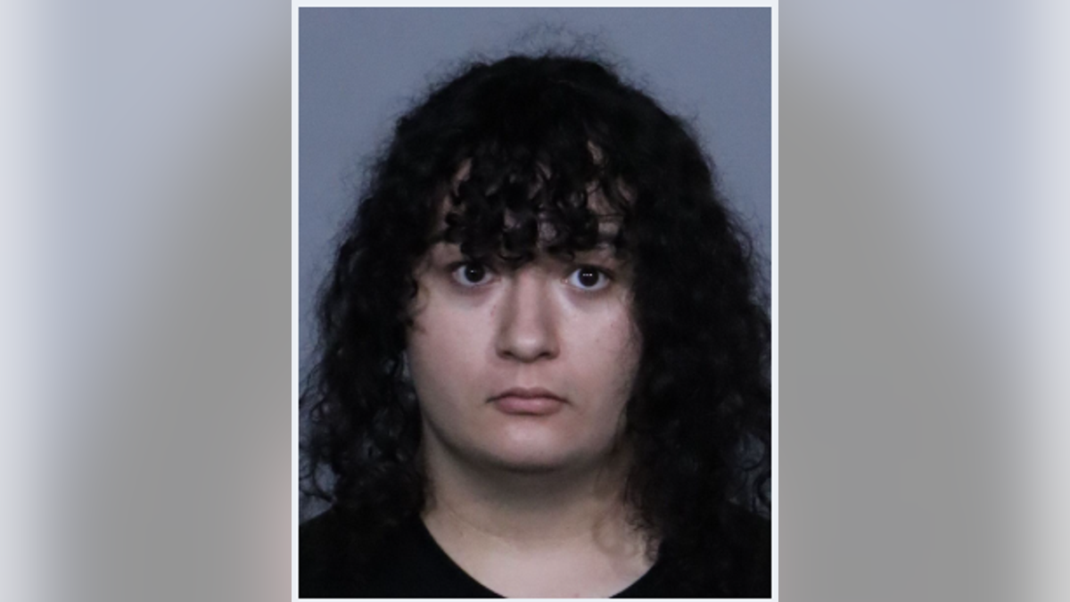 California LGBTQ protester Ethan Kroll was arrested after allegedly striking a man in a car with a flag pole