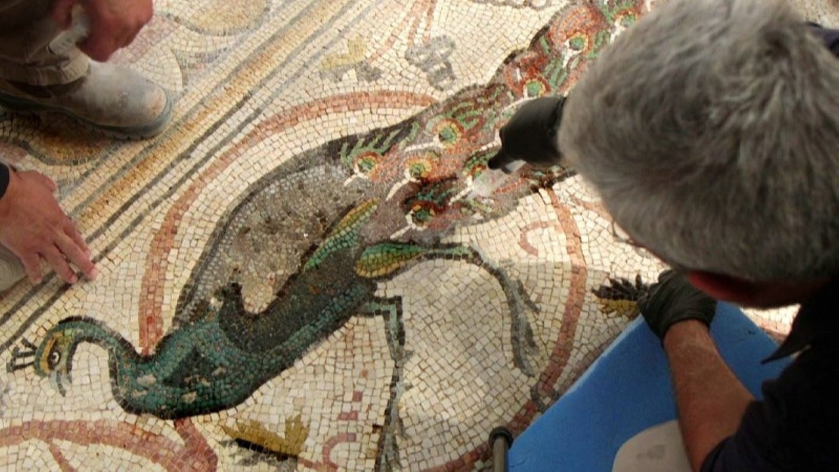 Byzantine-era mosaic from Israeli monastery reveals glimpse into ancient life Archaeologist preserving medallion