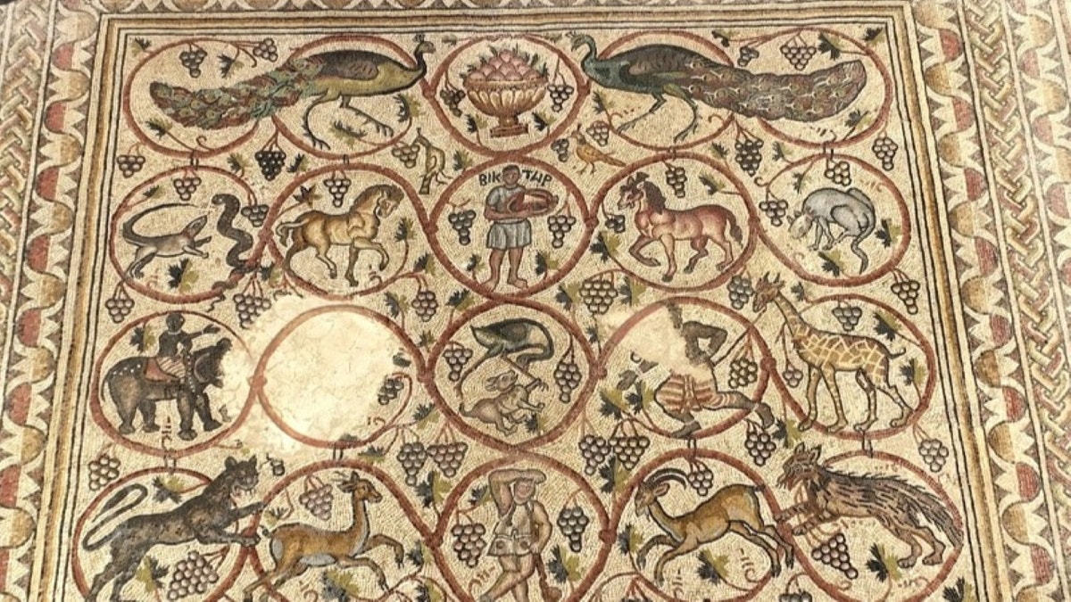 Byzantine-era mosaic from Israeli monastery reveals glimpse into ancient life Close-up of mosaic medallions