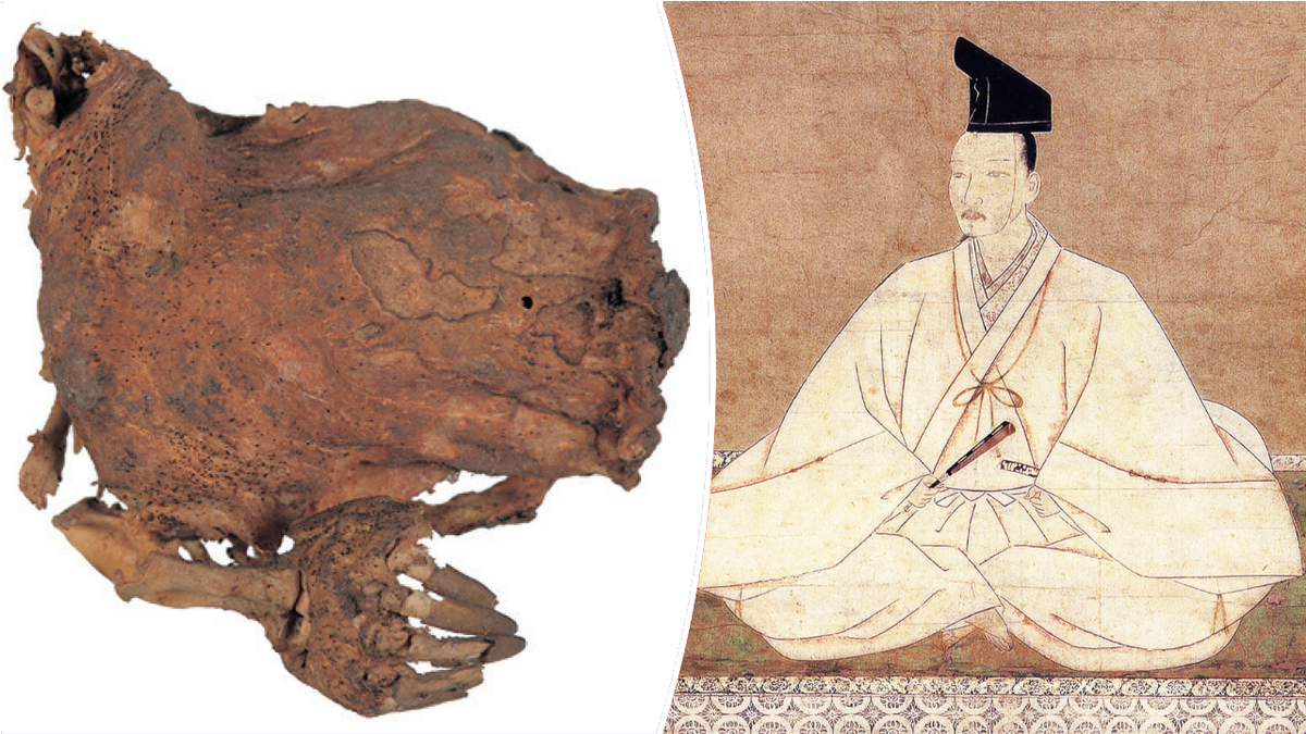 Split image of mummified dragon, shogun