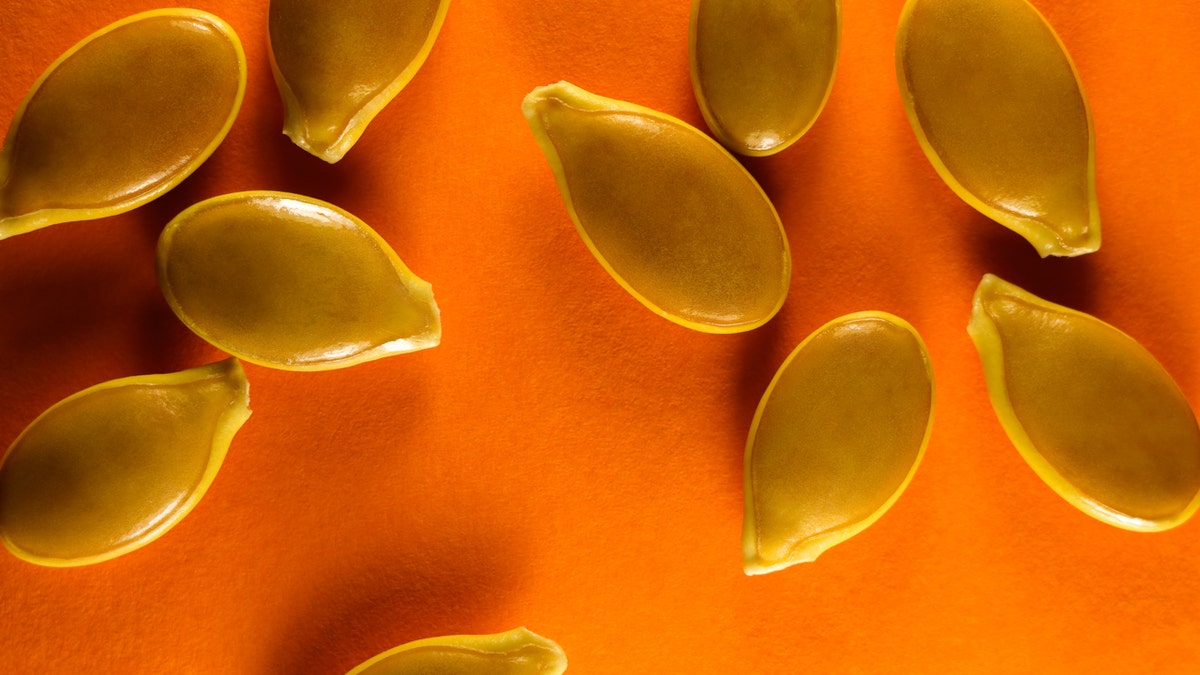 Ten fresh goliath pumpkin seeds abstract layout on orange background