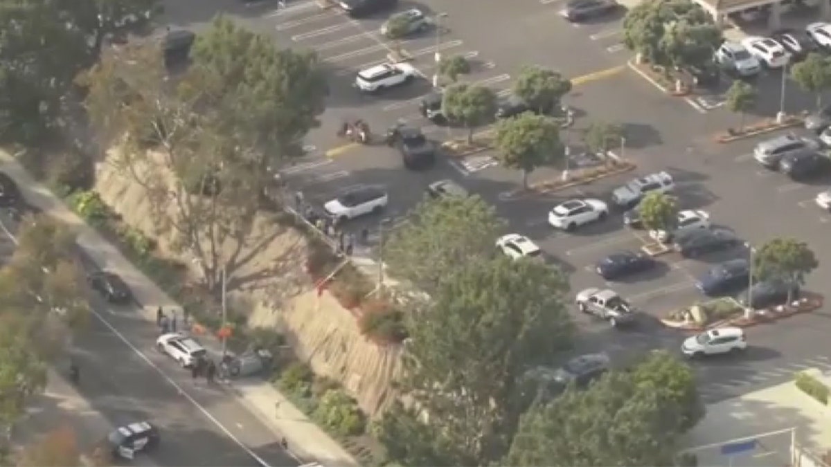 Man killed while teaching his daughter to drive. She is expected to survive.