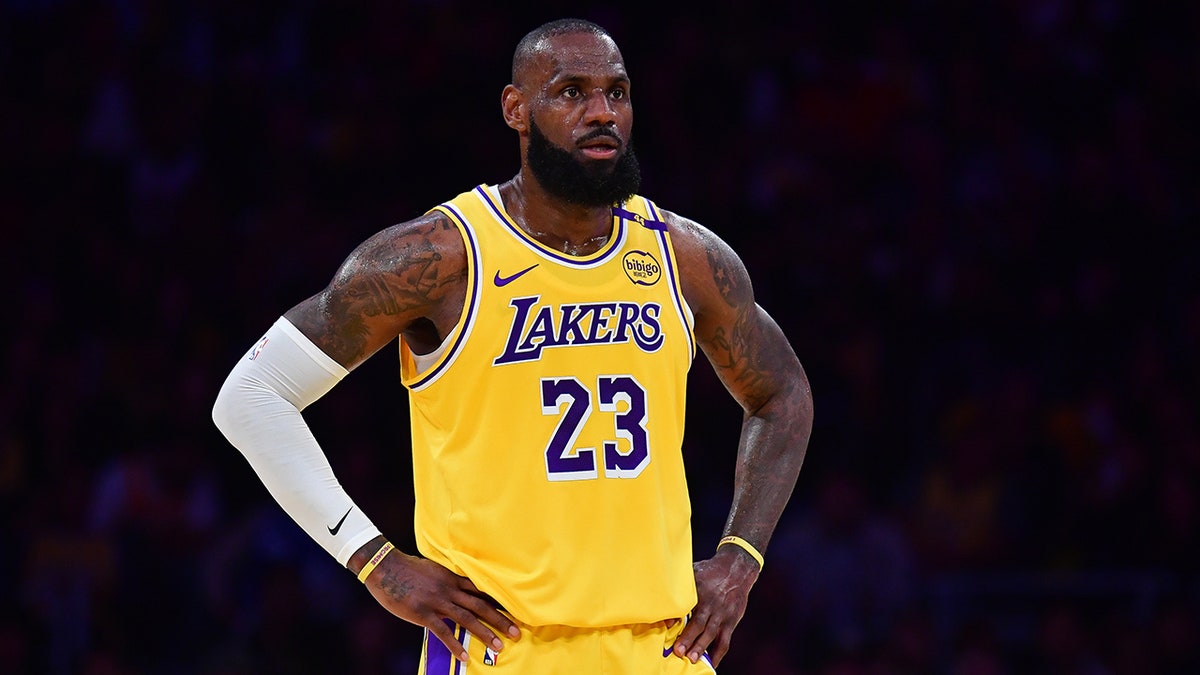 LeBron James looks on