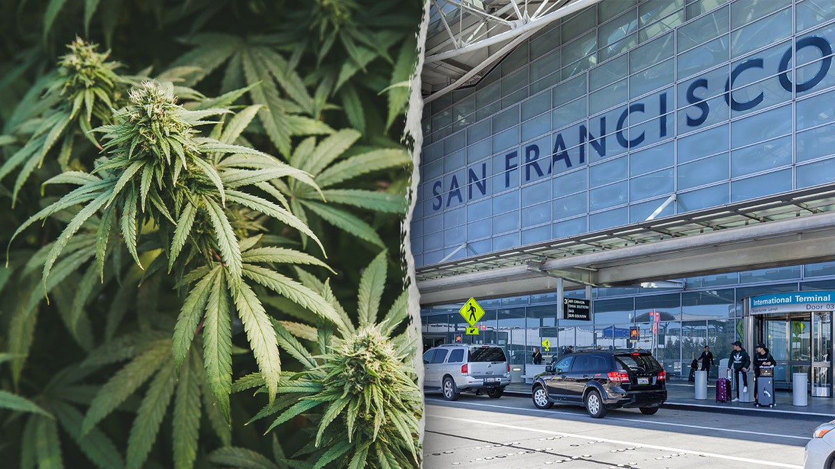 Marijuana/SFO photo split