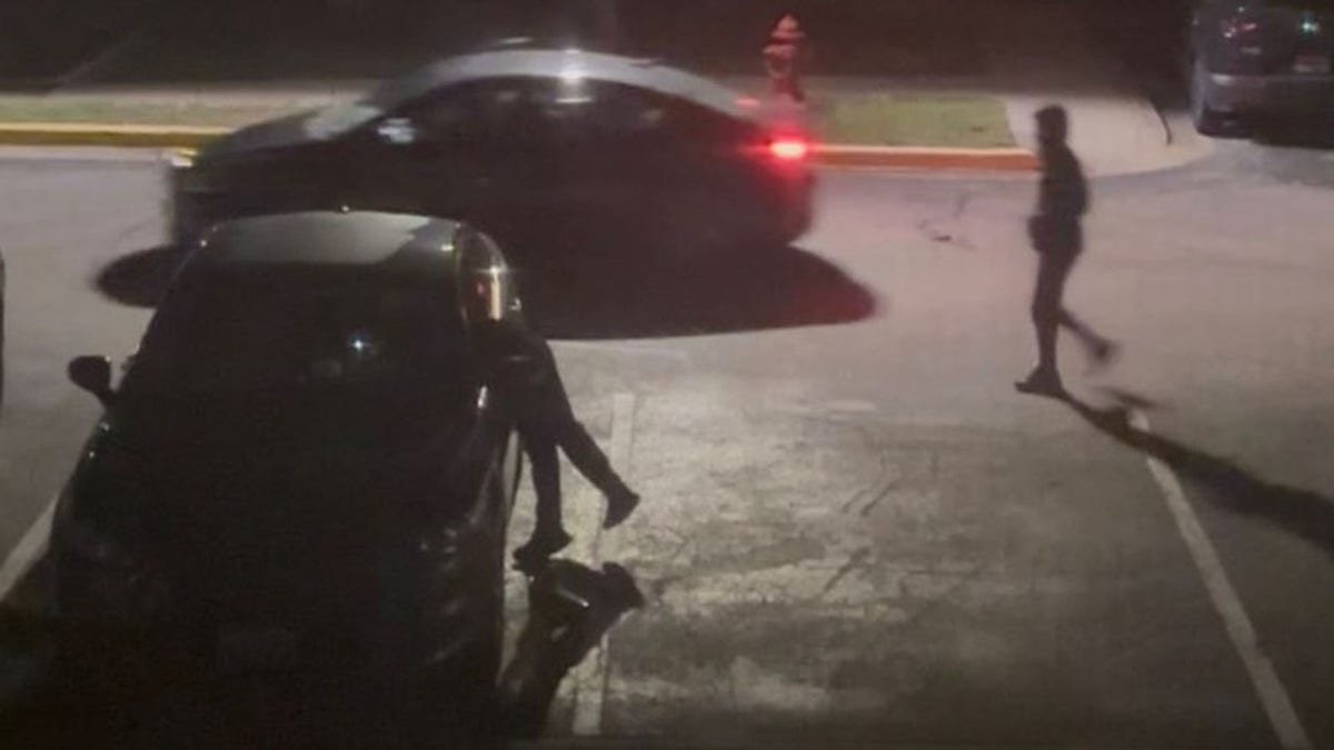 Security video show vehicle break-ins in Maryland