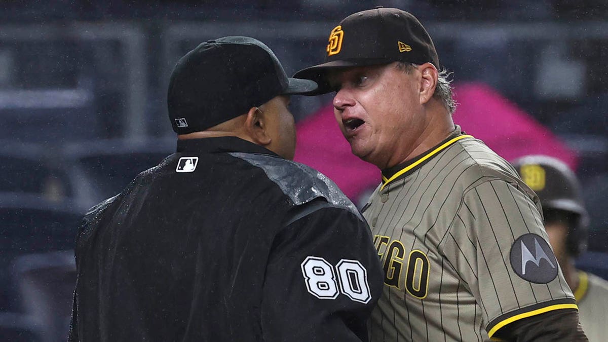 Mike Shildt gets in the face of the umpire
