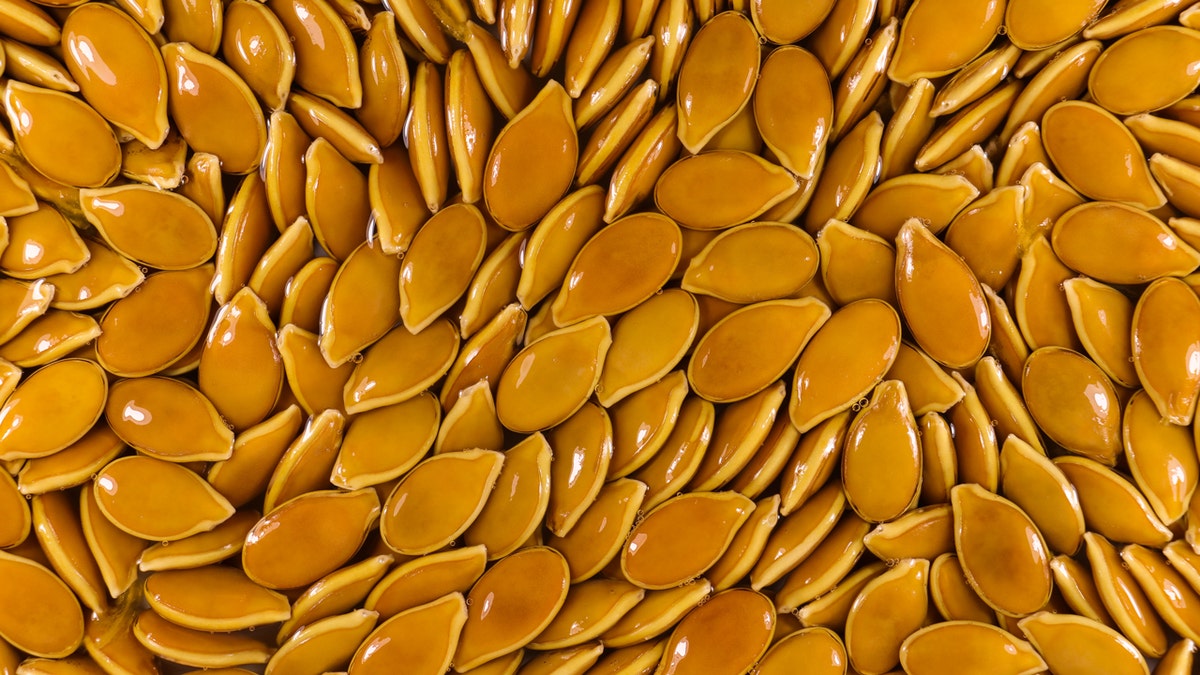 Fresh organic moist goliath pumpkin seeds