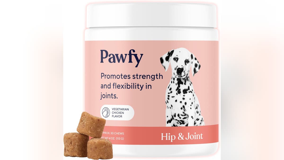 Keep your pet's joint health in mind with these supplements.
