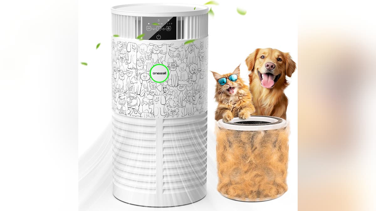 Get rid of unwanted pet smells with the help of an air purifier.