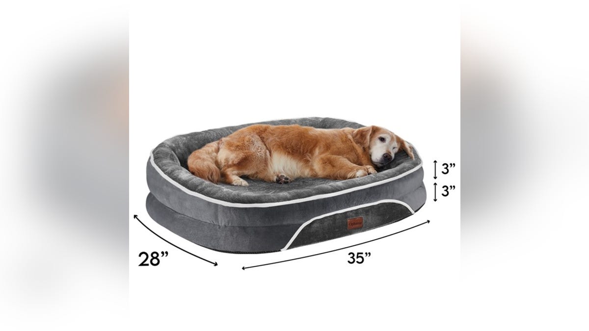 Help your pup relax with an orthopedic bed. 