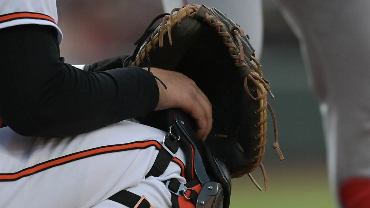 Adley Rutschman calls a pitch