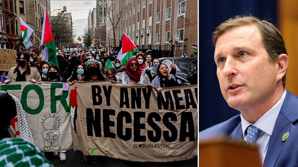 An image of Dan Goldman beside an image of anti-Israel protests.