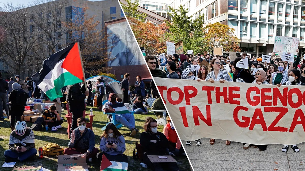 Protesto palestino de Harvard
