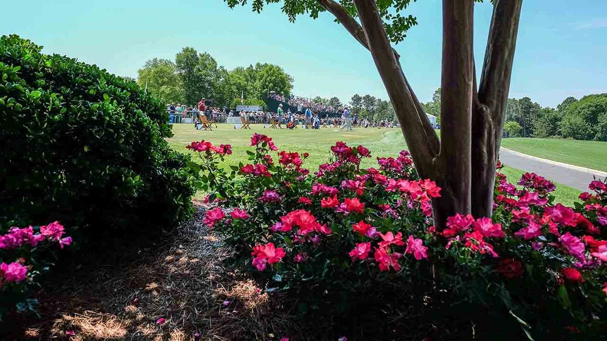 Quail Hollow Club general view