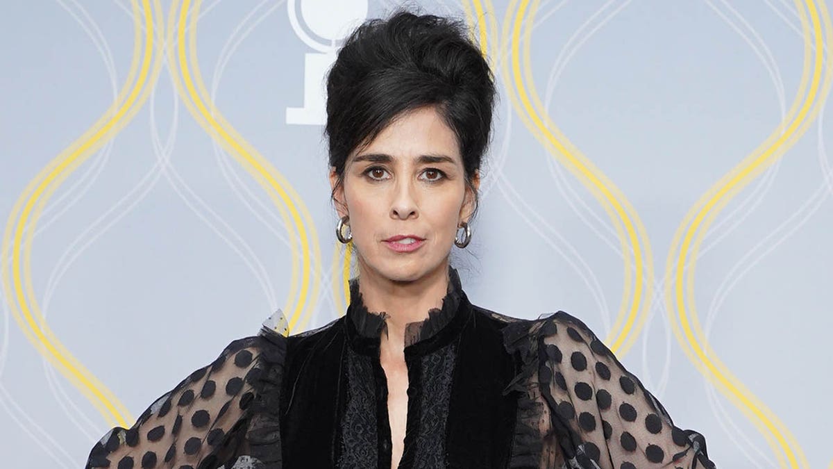 sarah silverman in black in red carpet
