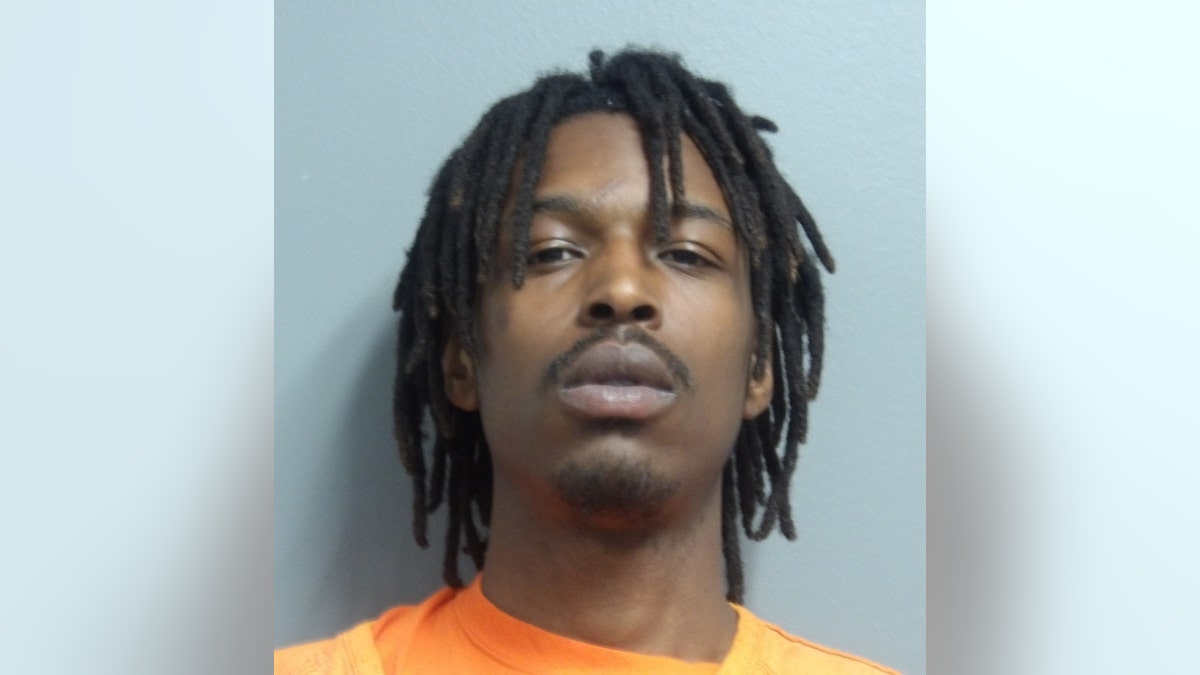 Serus Williams mugshot