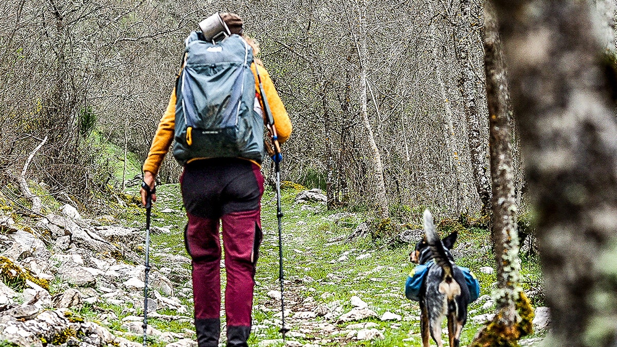 Flea-ridden puppy becomes world traveler with adventurer who had feared dogs all her life Heike Pirngruber from Heidelberg, Germany, has taken Butch the Australian Cattle puppy, under her wing and the pair have crossed multiple countries together, on foot, by canoe, motorcycle, and even by Tuk Tuk. A woman who ‘never liked dogs’ is now walking around the world with a puppy - that she found neglected and full of fleas. Heike Pirngruber, 53, has turned Australian Cattle puppy Butch into one of the best travelled dogs on the planet - vising dozens of countries. She adopted him in 2021 when he was just one month old while she was renting a beach hut in Baja California, Mexico, despite not liking dogs after being chased by them while cycling around the world for seven years.