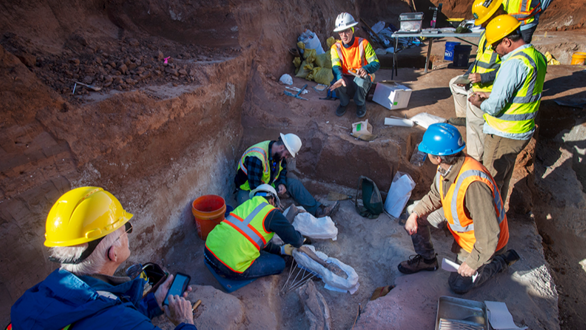 Archaeologists working at site