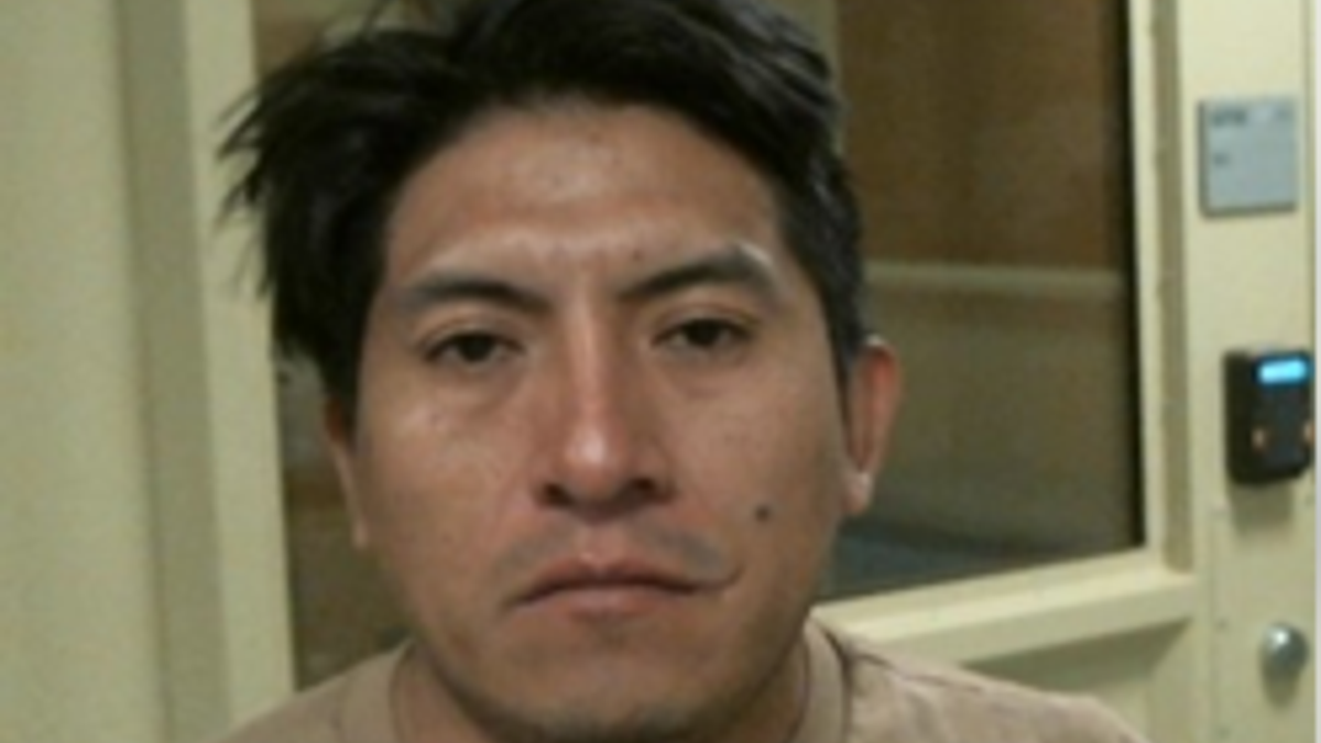 The German Ice Llangari inga was arrested by ICE in May 2025 in the vehicle's murder case.