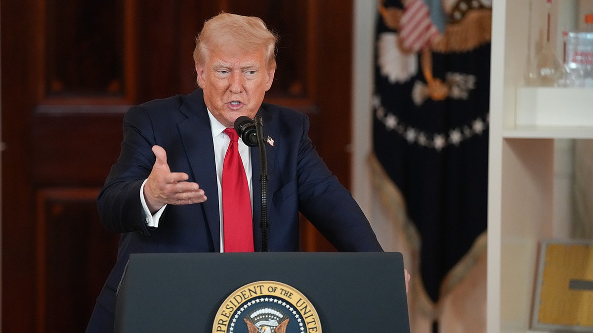 Trump speaking astatine White House
