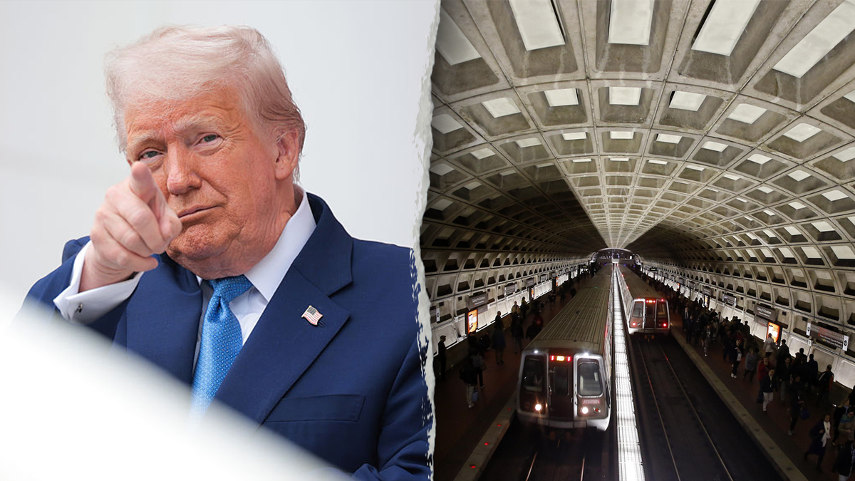 Tramp_train_dc