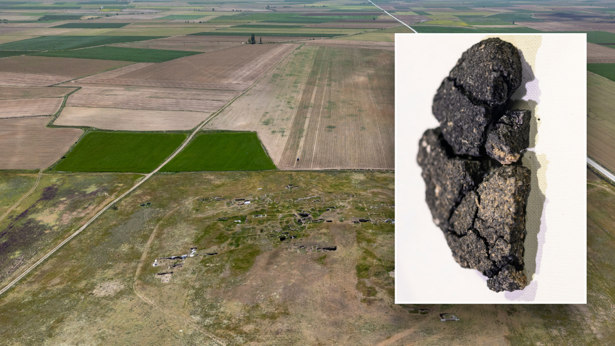 Split image of bread and Turkey excavation site